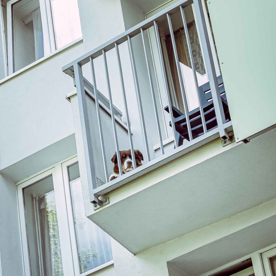 osiedle_pod_jaworami_06